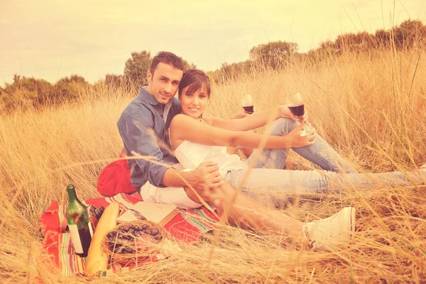 Happy Young Couple Drinking Wine Enjoying Picnic Countryside Field — Stock Photo, Image