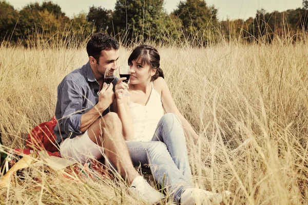 愉快的年轻夫妇喝葡萄酒和享受野餐在农村的田野 — 图库照片