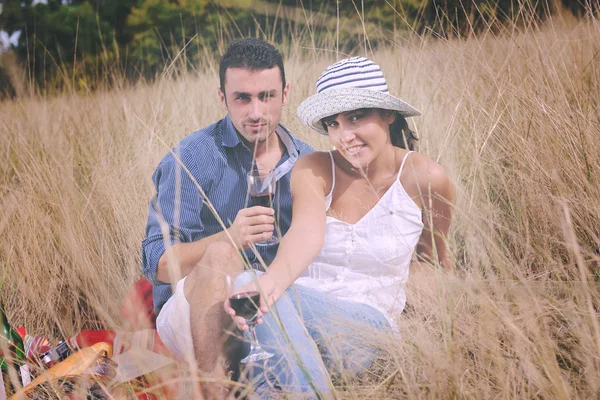 愉快的年轻夫妇喝葡萄酒和享受野餐在农村的田野 — 图库照片