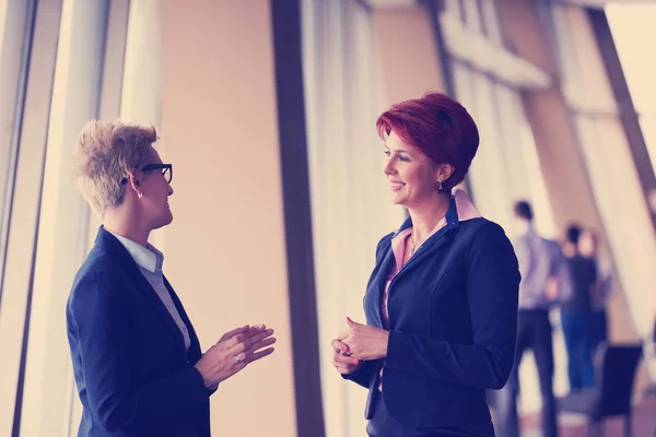 Porträt Zweier Geschäftsfrauen Modernen Hellen Büroinnenraum Die Als Team Der — Stockfoto