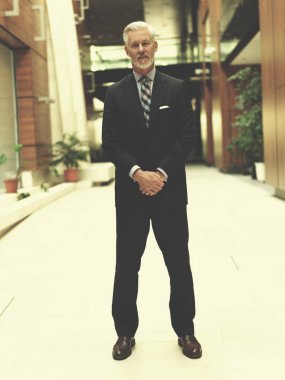 gri saç ve sakal yalnız i modern office ile kapalı üst düzey iş adamı portresi