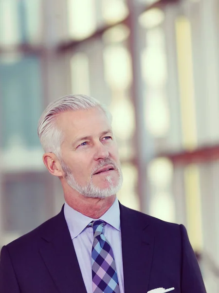 Retrato Hombre Negocios Con Barba Gris Cabello — Foto de Stock