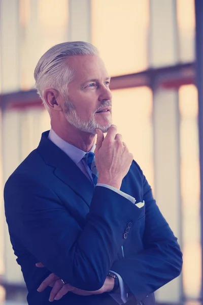 Porträtt Affärsman Med Grått Skägg Och Hår — Stockfoto