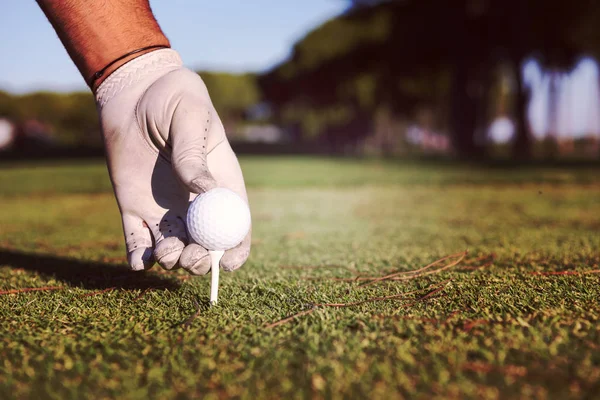 Nahaufnahme der Hand eines Golfspielers, die den Ball auf den Abschlag legt — Stockfoto