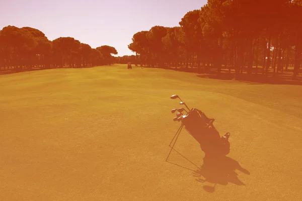 Saco de golfe no campo — Fotografia de Stock