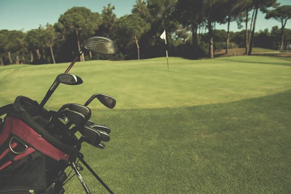 Närbild Golfbag Kurs Med Club Och Bollen Framme Vid Vackra — Stockfoto