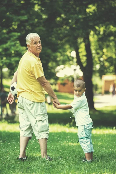 Glad Farfar Och Barn Kul Och Leka Parken Vacker Solig — Stockfoto