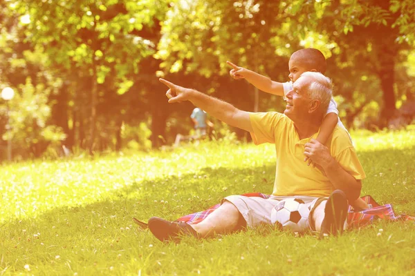 Glücklicher Opa Und Kind Haben Spaß Und Spielen Park Einem — Stockfoto