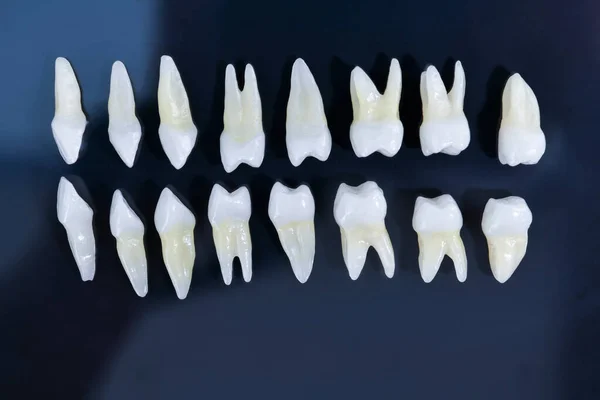 Visão superior dos dentes brancos no fundo azul — Fotografia de Stock