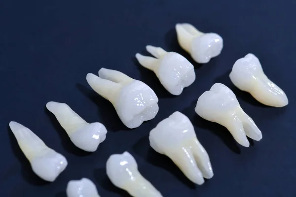 Белые зубы на синем фоне — стоковое фото