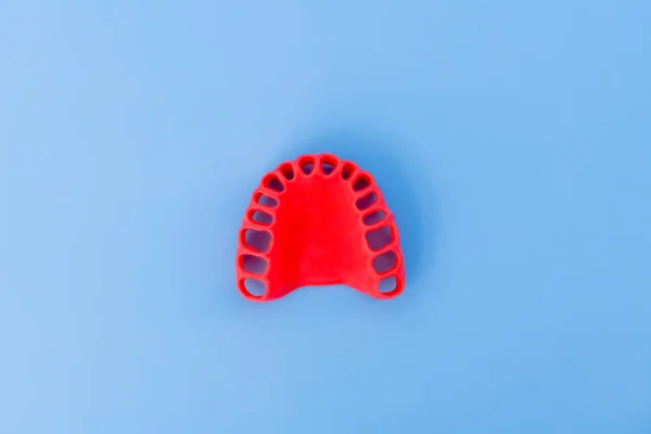 Model of human gums without teeth isolated on blue — Stock Photo, Image