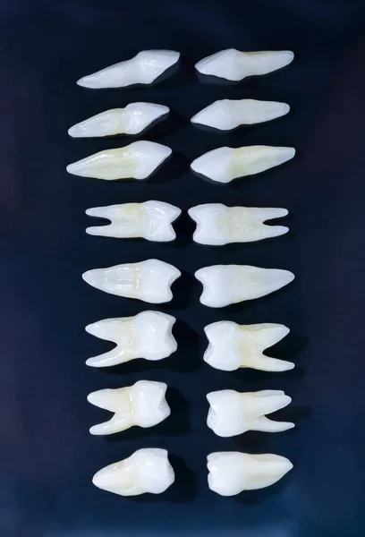 Ovanifrån av vita tänder på blå bakgrund — Stockfoto