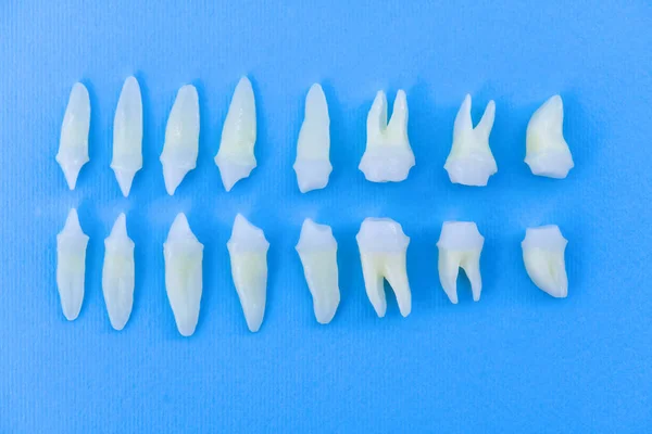 Vista superior de los dientes blancos sobre fondo azul — Foto de Stock