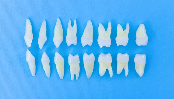 Horní pohled na bílé zuby na modrém pozadí — Stock fotografie