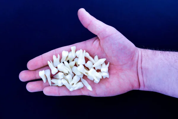 Menselijke hand houden witte tanden op blauwe achtergrond — Stockfoto