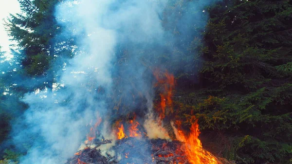 Požární Plameny Začínají Vznítit Vyzkoušet Větve Suchém Lese Antény — Stock fotografie