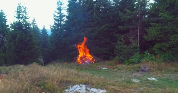 Fuego Llamas Empezando Encender Tratar Ramas Dron Aéreo Bosque Seco — Vídeo de stock