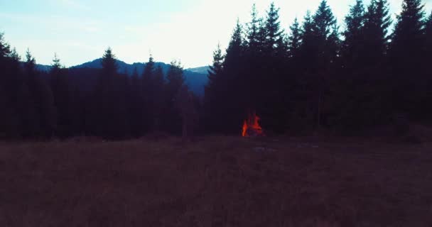 Feuerflammen Entzünden Äste Trockener Waldluftdrohne — Stockvideo