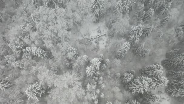 Vista Aérea Superior Voando Sobre Nuvens Nevoeiro Conceito Poluição — Vídeo de Stock