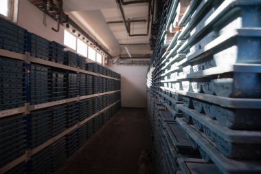 Altın çekirdek sondaj örnekleri depolama