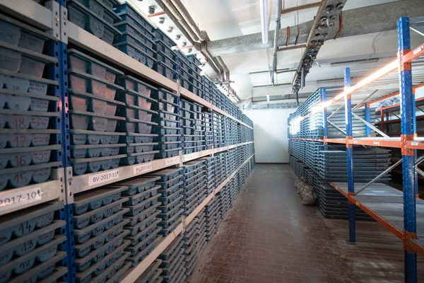 Gold rock core drill samples storage — Stock Photo, Image