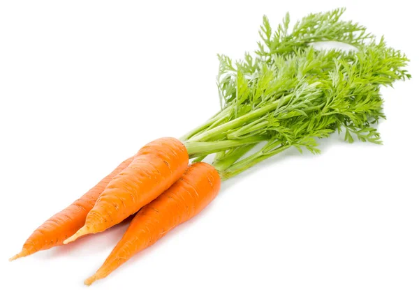 Three fresh carrots with green leaves — Stock Photo, Image