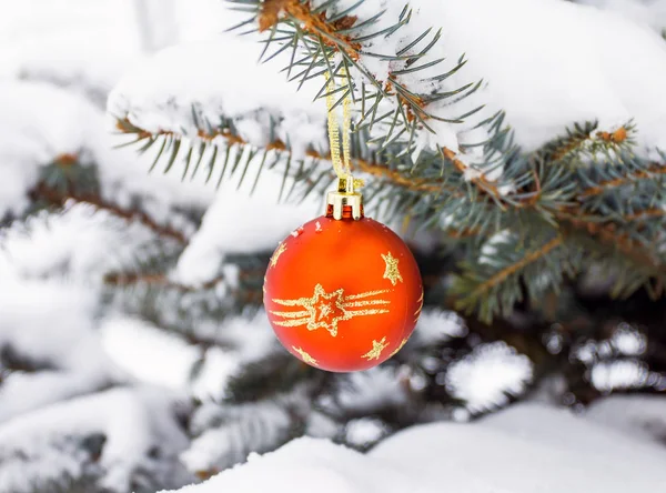 Christmas decoration on fir branch — Stock Photo, Image