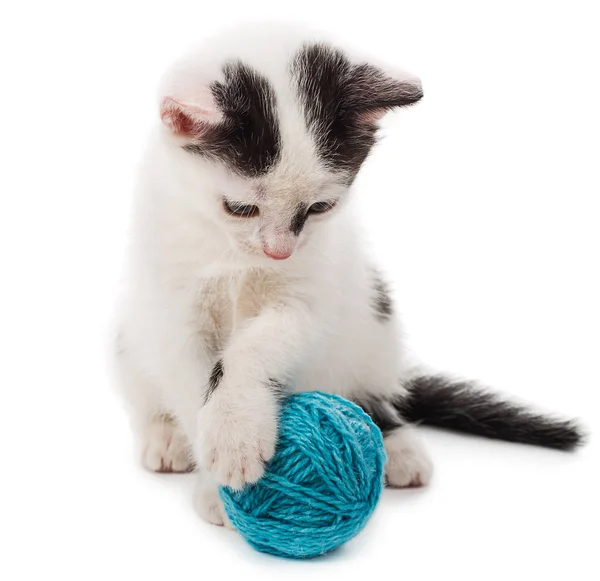 Котенок играет с мячом из пряжи — стоковое фото