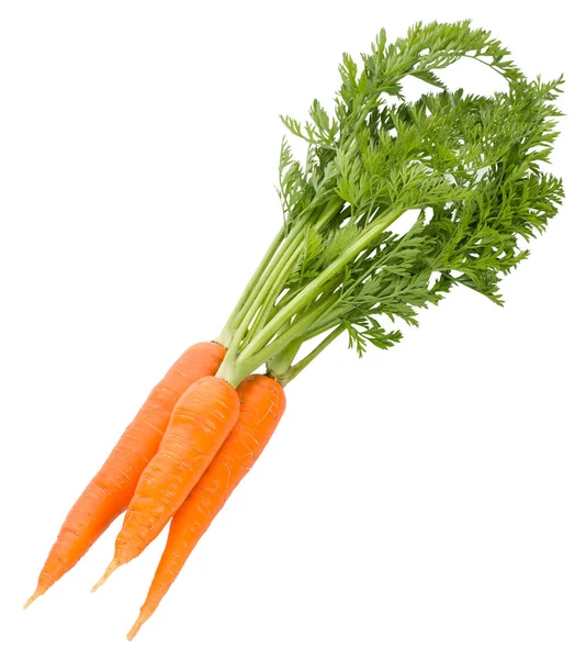 Grappolo di carote con foglie verdi — Foto Stock