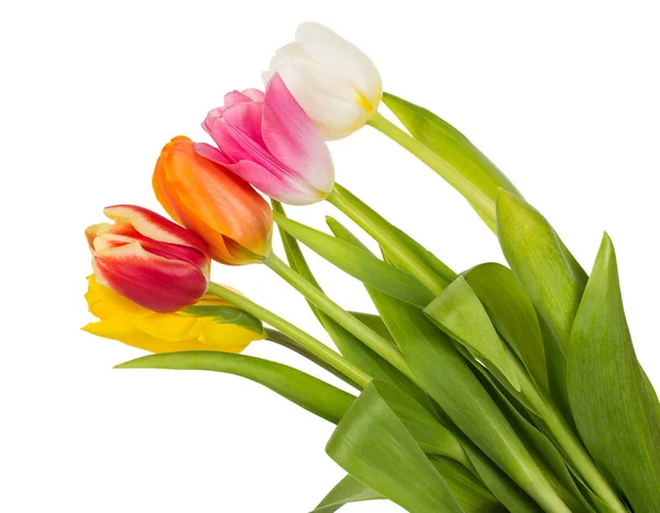 Kleurrijke tulpen boeket — Stockfoto