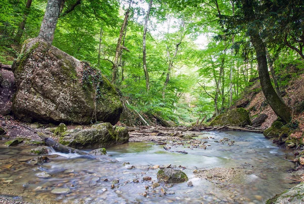 Berg flod i skogen — Stockfoto