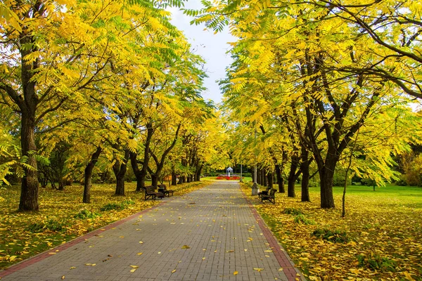 Színes őszi park — Stock Fotó