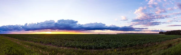 Belo pôr do sol sobre o campo — Fotografia de Stock