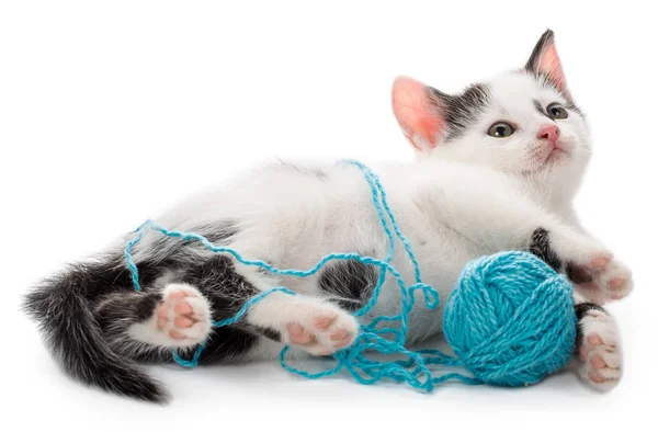 Kitten playing with yarn ball — Stock Photo, Image