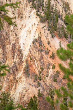 Yellowstone Ulusal Parkı 'ndaki Şelale ve Kanyon, Wyoming, ABD