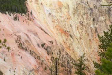 Yellowstone Ulusal Parkı 'ndaki Şelale ve Kanyon, Wyoming, ABD