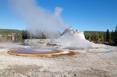 Yellowstone Ulusal Parkı 'ndaki Castle gayzer, ABD