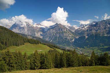 İsviçre Alplerinde yürüyüş: Grindelwald (Jungfrau bölgesi, Canton Bern, İsviçre)