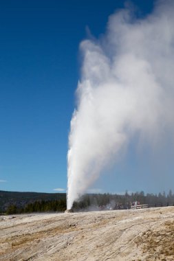Yellowstone Ulusal Parkı 'nda koni gayzer patlaması