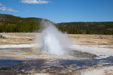 Yellowstone Ulusal Parkı 'ndaki mücevher gayzerleri, ABD