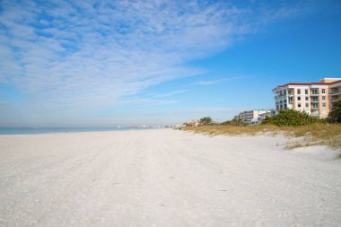 Tampa, Florida, ABD yakınlarında Meksika Körfezi kıyısı.