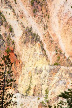 Yellowstone Ulusal Parkı 'ndaki Şelale ve Kanyon, Wyoming, ABD