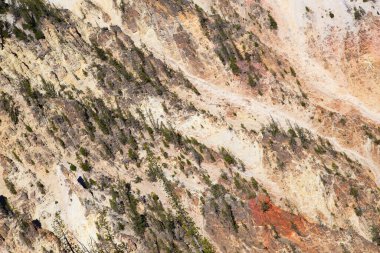 Yellowstone Ulusal Parkı 'ndaki Şelale ve Kanyon, Wyoming, ABD
