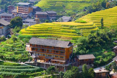 Longsheng Rice Terasları (Dragon 's Backbone) Çin' in Guilin şehrinden yaklaşık 100 km (62 mi) uzaklıkta, Longsheng County 'de bulunmaktadır.