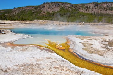 Yellowstone Ulusal Parkı 'ndaki kara kum gayzer havzası, ABD
