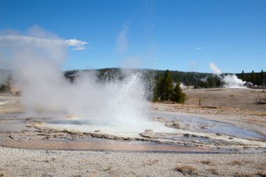 Yellowstone Ulusal Parkı 'ndaki kereste fabrikası patlaması, ABD