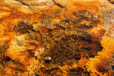 Yellowstone Ulusal Parkı 'ndaki kara kum gayzer havzası, ABD