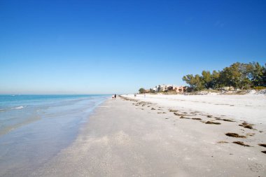 Tampa, Florida, ABD yakınlarında Meksika Körfezi kıyısı.