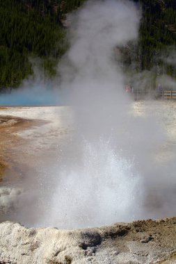 Yellowstone Ulusal Parkı 'ndaki kara kum gayzer havzası, ABD