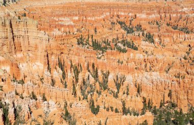 Bryce Canyon Ulusal Parkı Utah, ABD